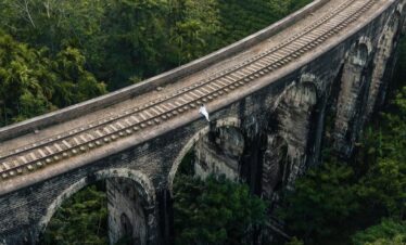 Sri Lanka’s Ultimate Heritage 7-Days Nature Journey Tour Package